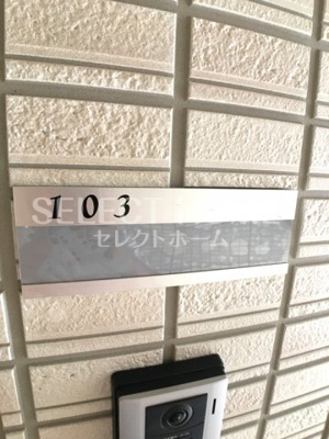  | インテレクト