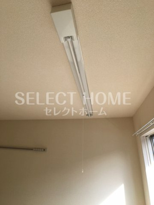  | インテレクト