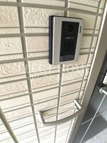  | インテレクト