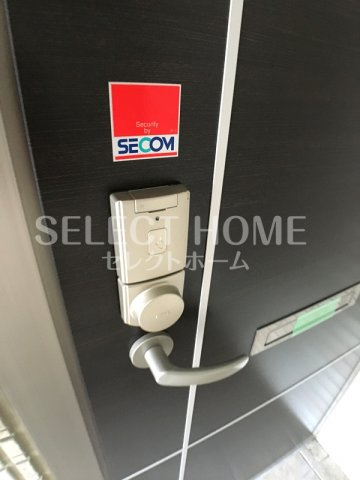  | インテレクト