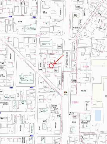 岡崎市明大寺町字池下の地図