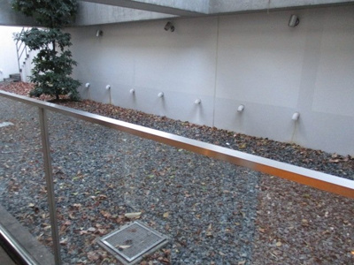 【展望】 | セルフィスタ渋谷