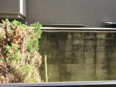 ソレイユ・ルーチェの展望|南向き眺望