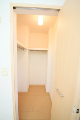 ブルーコスモの収納