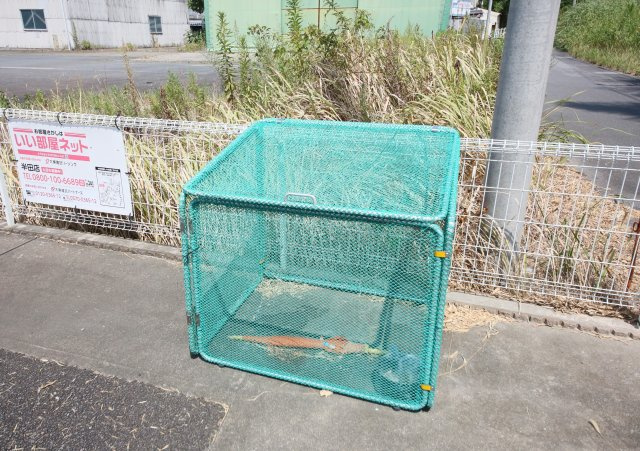 ブルーコスモのその他共用部分