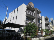 マーヴェラスの画像