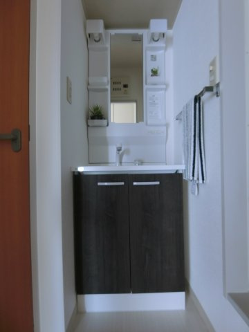 サングリーンB棟の洗面所