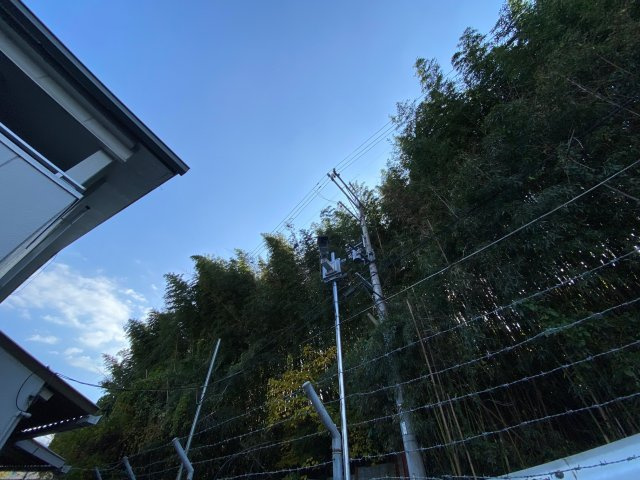 野村学生マンションの展望