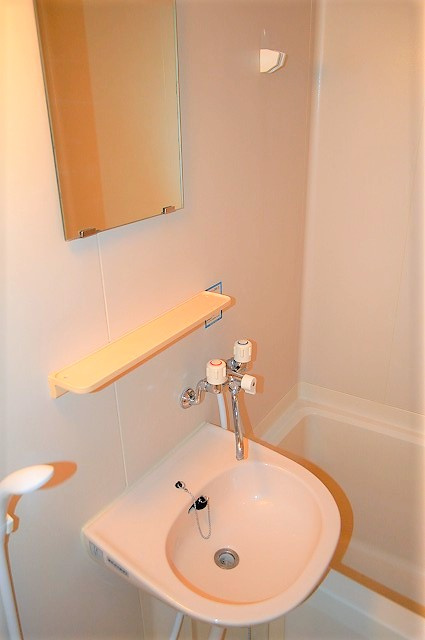 メゾンドソレイユの洗面所