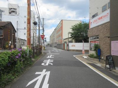 イーズハウスの周辺|前面道路