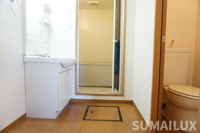 菊池郡菊陽町光の森３丁目の賃貸マンションの洗面所