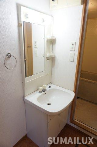 菊池郡菊陽町光の森３丁目の賃貸マンションの独立洗面台
