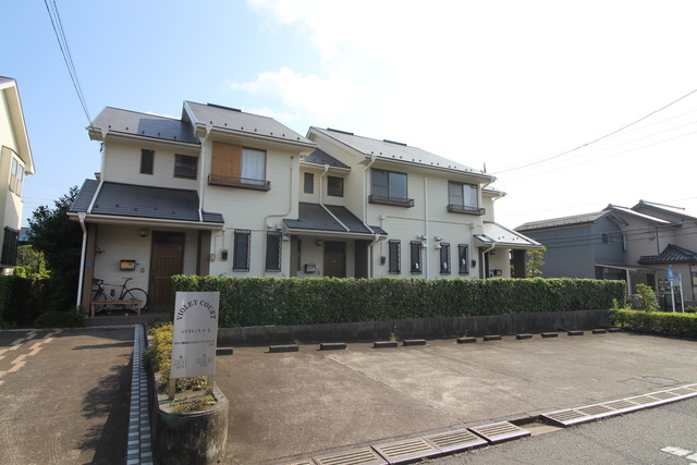 バイオレットコートA