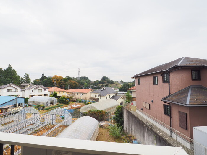 さくらそうの展望