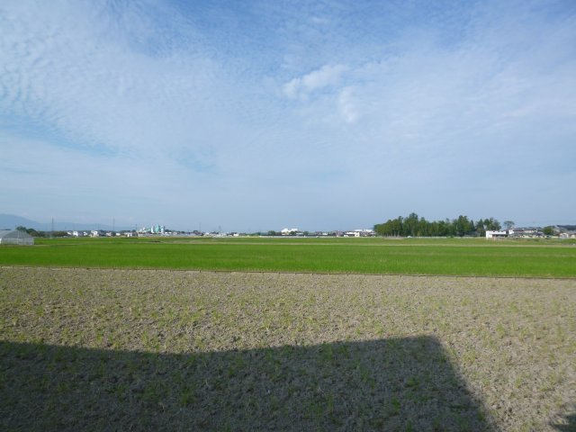 守山市小島町　5号地　売土地の周辺