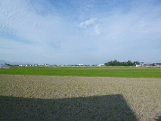 【周辺】 | 守山市小島町　5号地　売土地