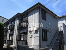 ステラ綾瀬の画像