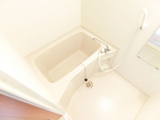 ラフォーレ金剛の浴室