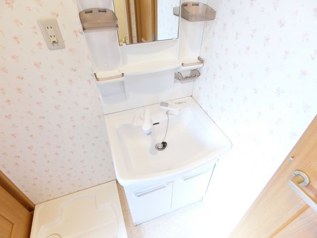 ラフォーレ金剛の洗面所