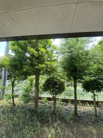 サニーヒル石名坂の展望