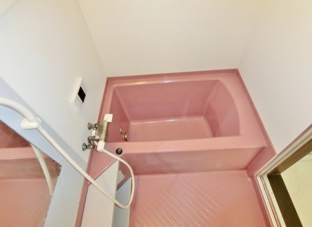 南日当貸家Dの浴室