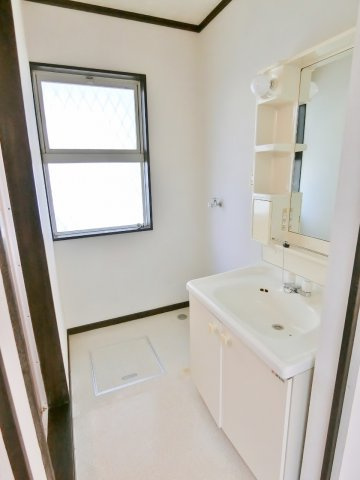 南日当貸家Dの洗面所