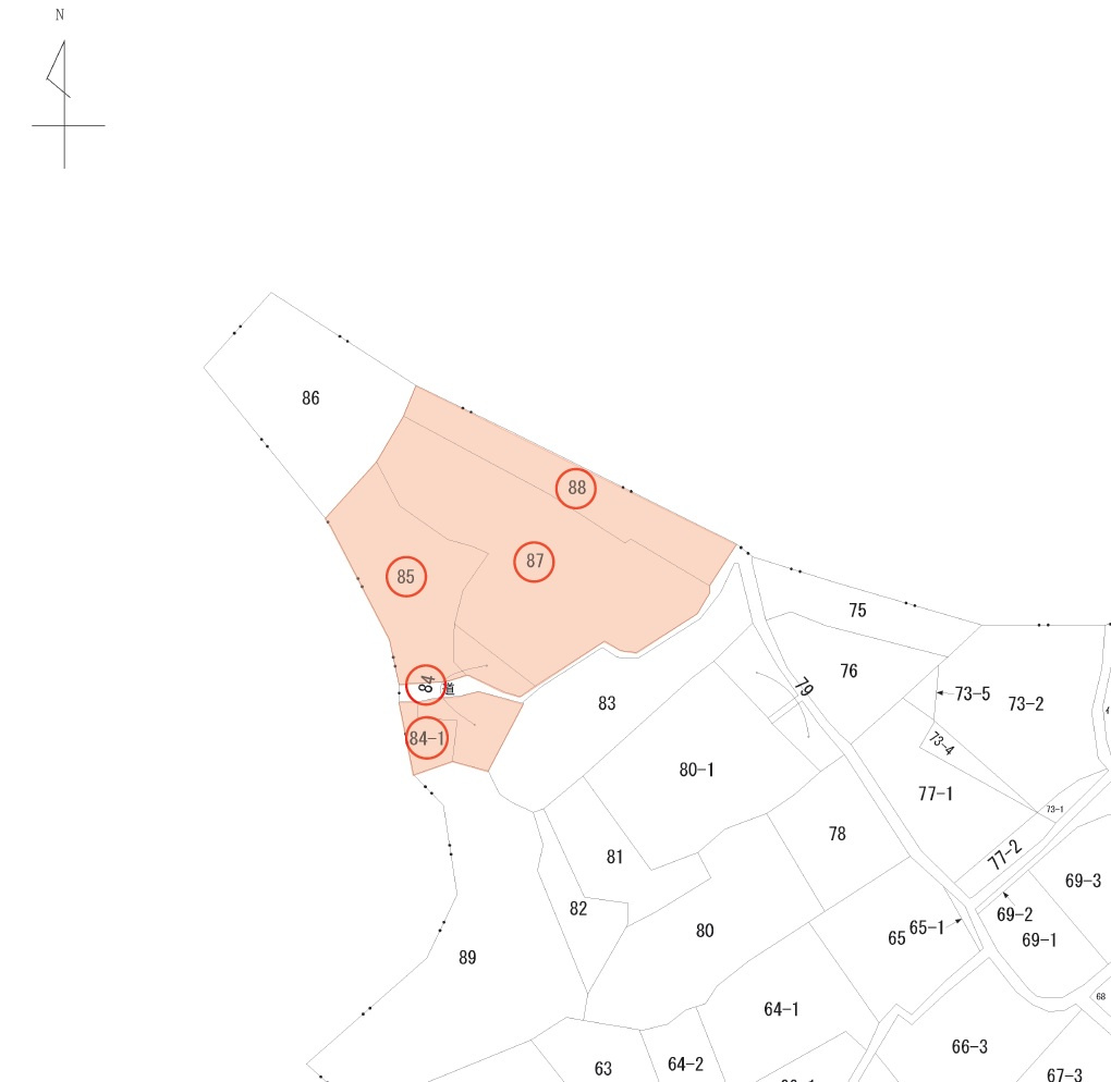 豊川市長沢町デンスの土地図