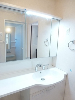 【独立洗面台】 | ヒルサイド テラス Ｃ | シャワーヘッド付き洗面台です。