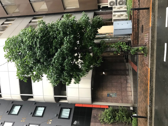 新都心ビルのエントランス