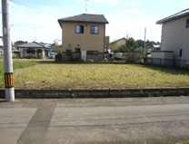 真家2502-143　第５東宝ランドの画像