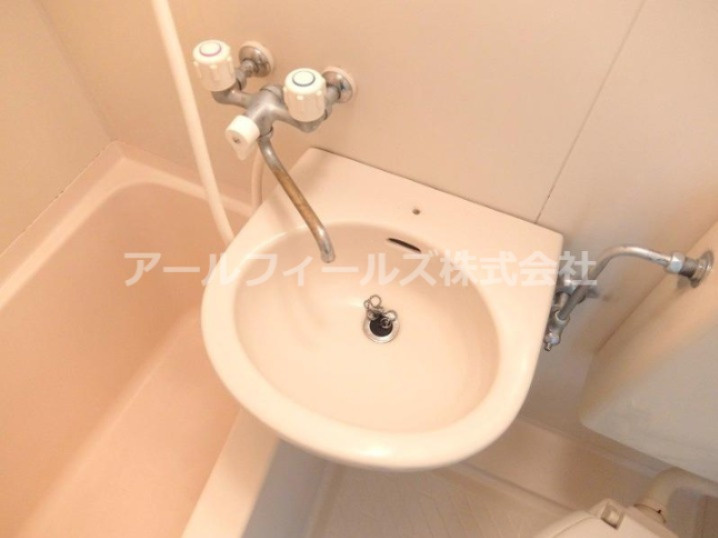 ロイヤルパレス馬橋の洗面所