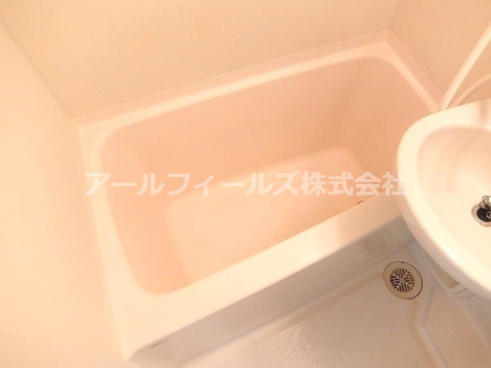 ロイヤルパレス馬橋の浴室