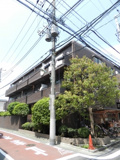 サンクレストTの画像