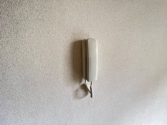 ツインセルティアのセキュリティ