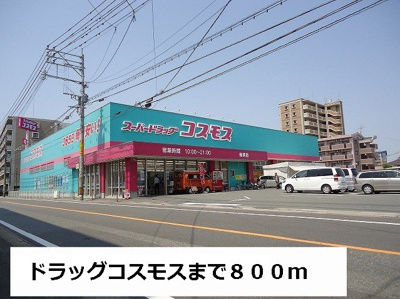 【周辺】 | レジデンス１９ | スーパードラッグコスモスまで800m