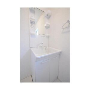 フォレストメゾンパーシモンⅠの洗面所