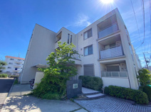 ＤＥＬ　ＦＩＯＲＥの画像