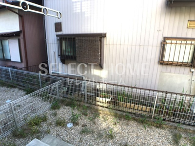 【展望】 | ねこでこ