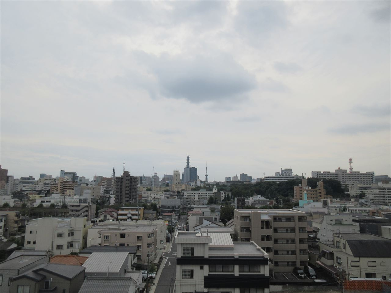 COZY名城公園の展望|COZY名城公園