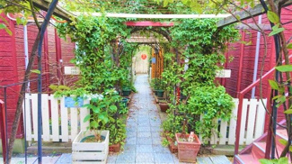 【外観】 | 外はこのようになっています