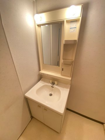 グランドメゾン池上Ⅱの洗面所