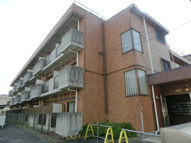 パティオ仲町の画像