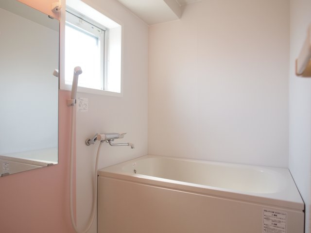 ドルチェヴィータ難波南の浴室