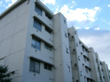 東難波住宅４号棟の画像