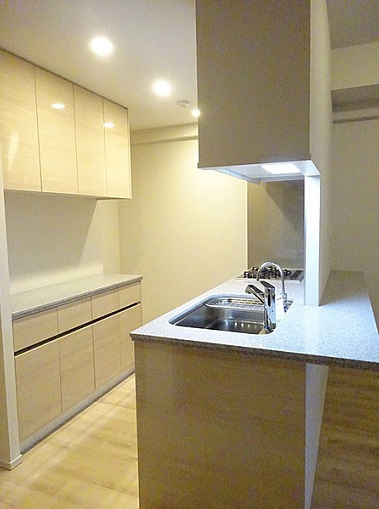 文京区本郷１丁目の賃貸マンションのその他|キッチン