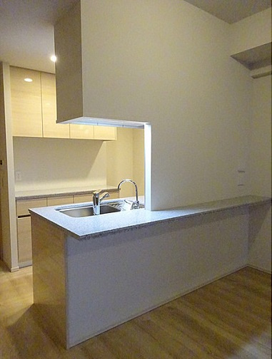 文京区本郷１丁目の賃貸マンションのその他|キッチン