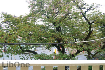 【展望】 | SAKURA TERRACE