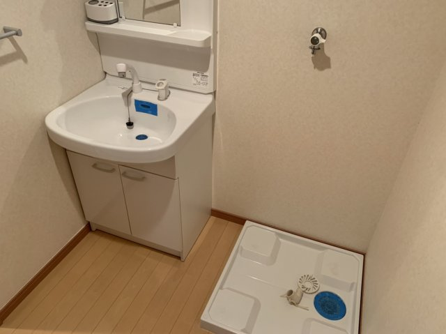シャッセ中原の洗面所