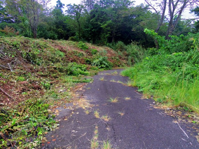 【前面道路含む現地写真】 | 伊豆市下白岩 売土地 ET02880 | 伊豆市下白岩　前面道路