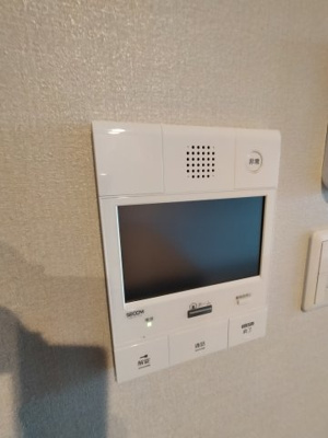  | PHOENIX Clove Tomoi